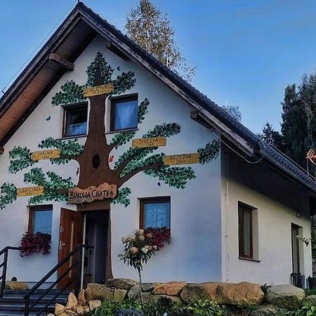 Bukowa Chatka Bukowiec  Exterior photo